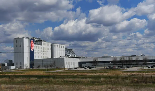 Barilla plant