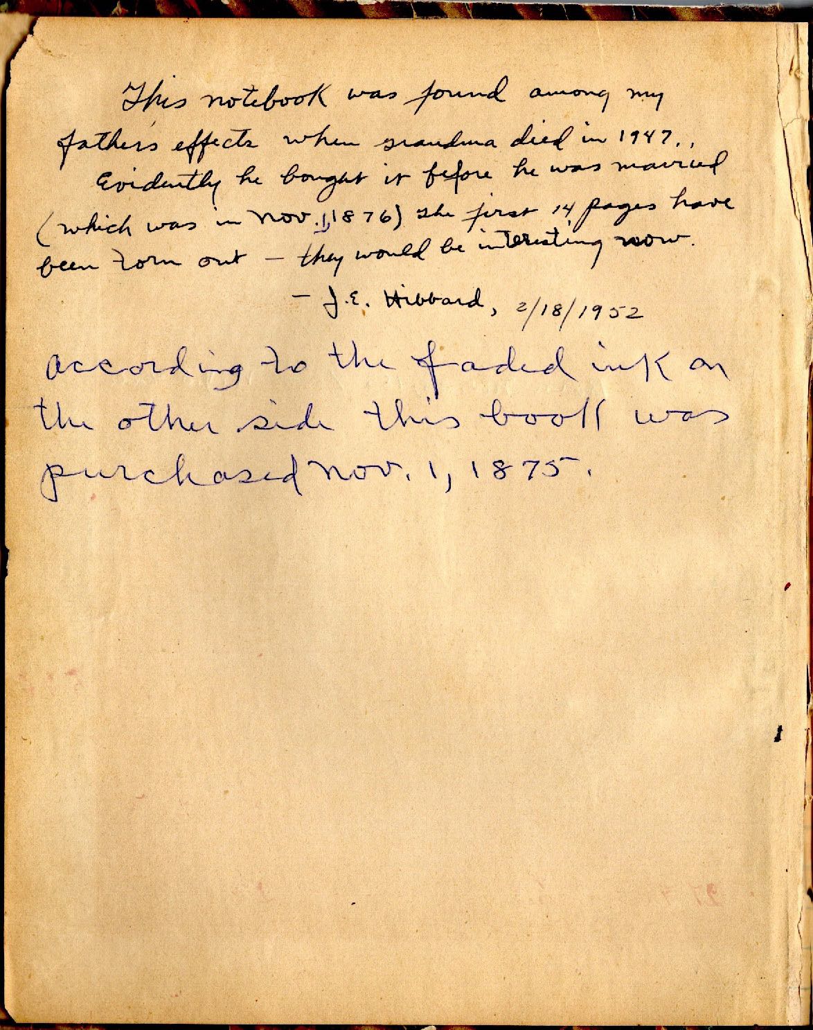 Jesse Hibbard forward