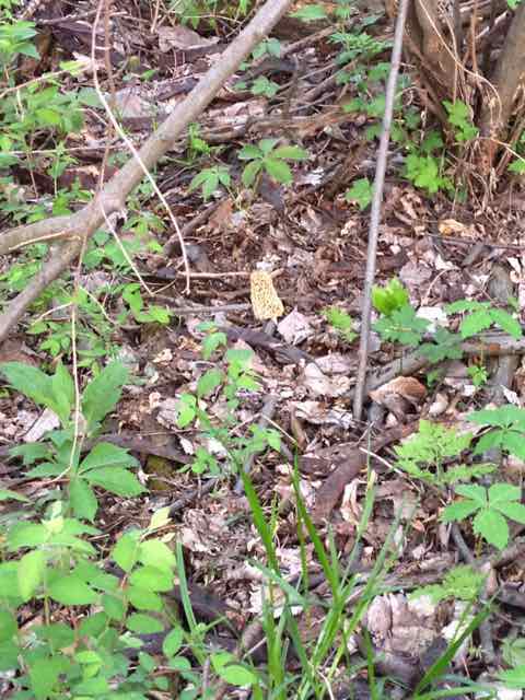 thinking outside the box