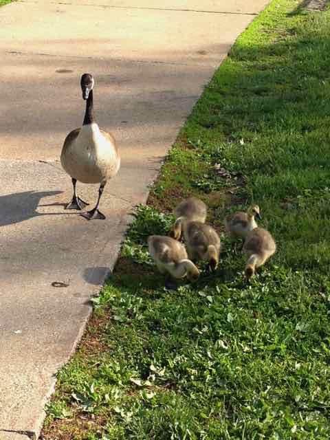 thinking outside the box