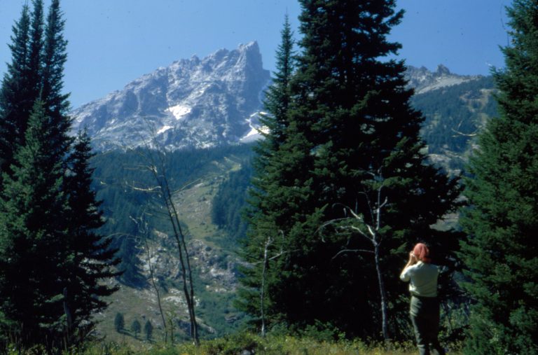 Hidden Falls area of Grand Teton