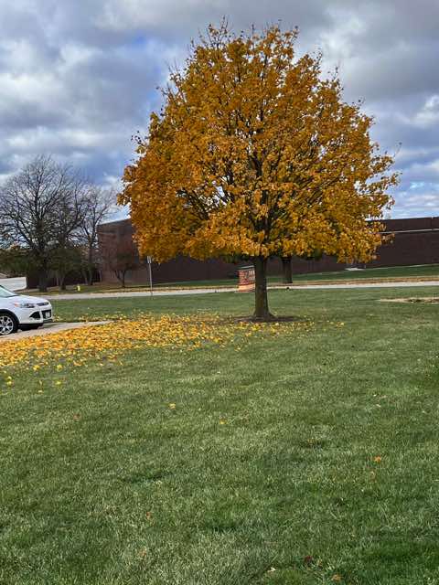 You need to view this picture or have someone else explain it.