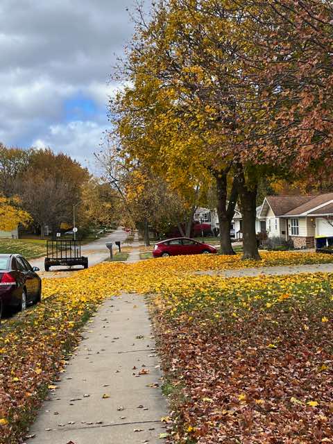 You need to view this picture or have someone else explain it.