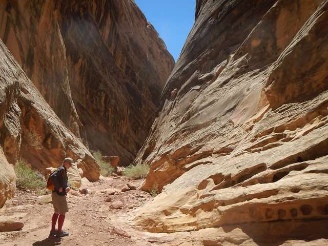 Al heading into narrowing Dang canyon