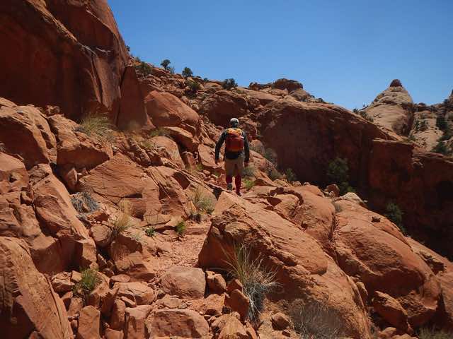 Up the Crater Spur Trail