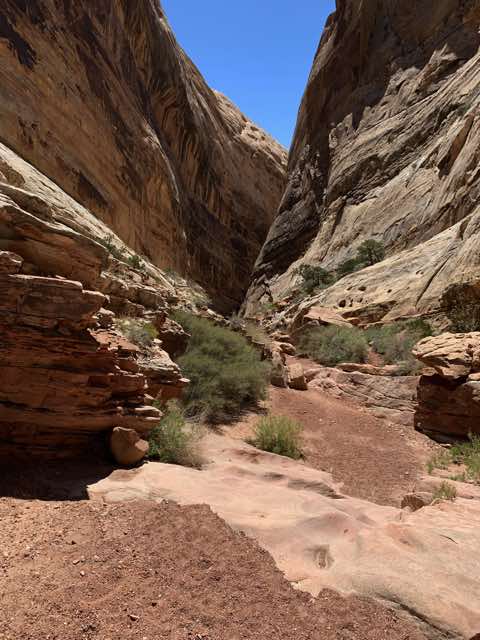 Dang's canyon walls begin to narrow