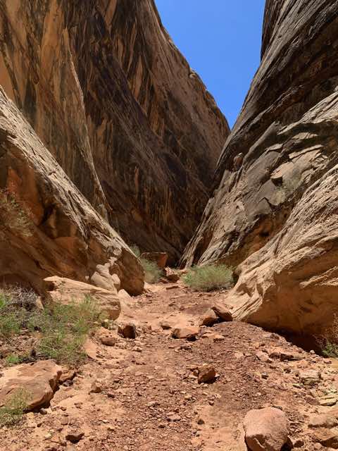 Another view of Dang canyon's beginnings