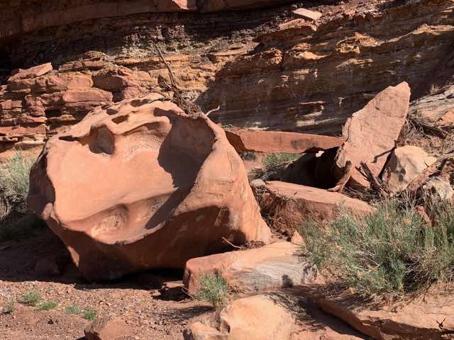 There were many large rocks like this with signs erosion acting on them.