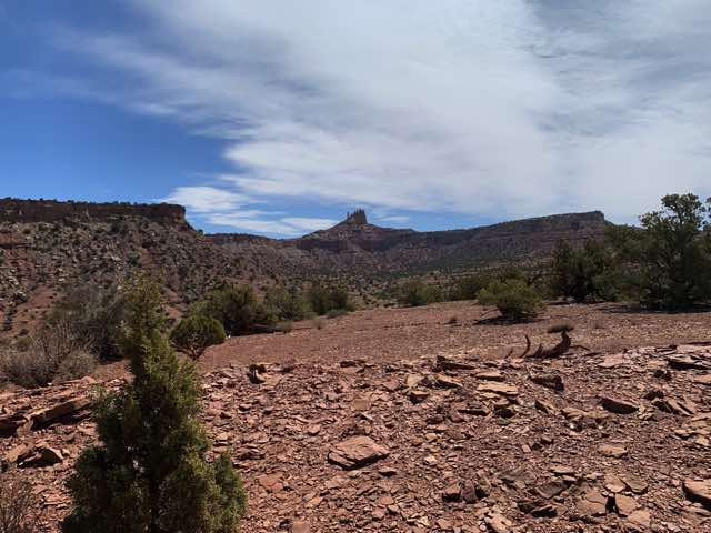 There were many large rocks like this with signs erosion acting on them.