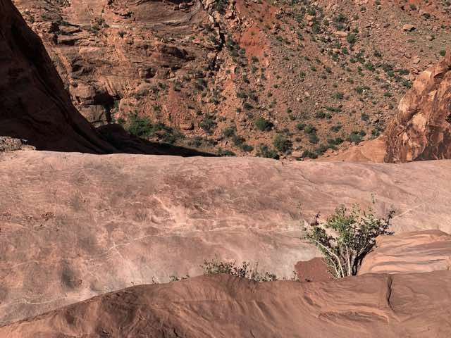 We are going to go down there