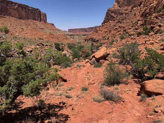 Trail in the dry wash