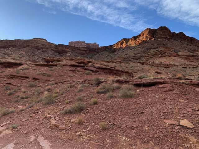 Looking up from the Green River floodplain