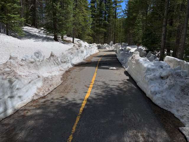 The trail through the woods was beautiful